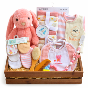 New born baby girl basket gift amman delivery