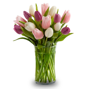 Tulip arrangement in glass vase for same-day online flower delivery in Amman Jordan